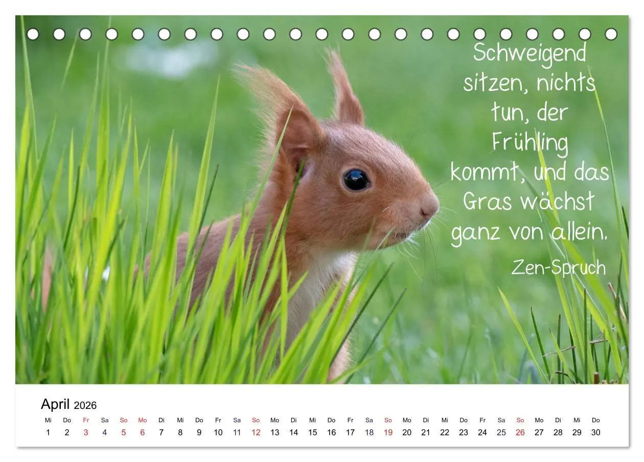 Bild: 9783457896235 | Der literarische Eichhörnchen-Kalender (Tischkalender 2026 DIN A5...