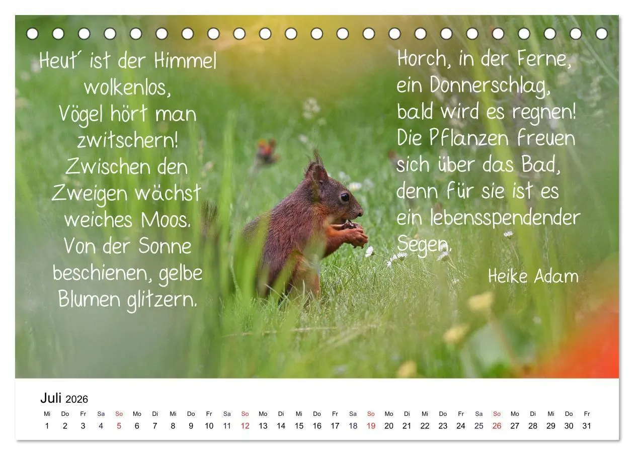 Bild: 9783457896235 | Der literarische Eichhörnchen-Kalender (Tischkalender 2026 DIN A5...