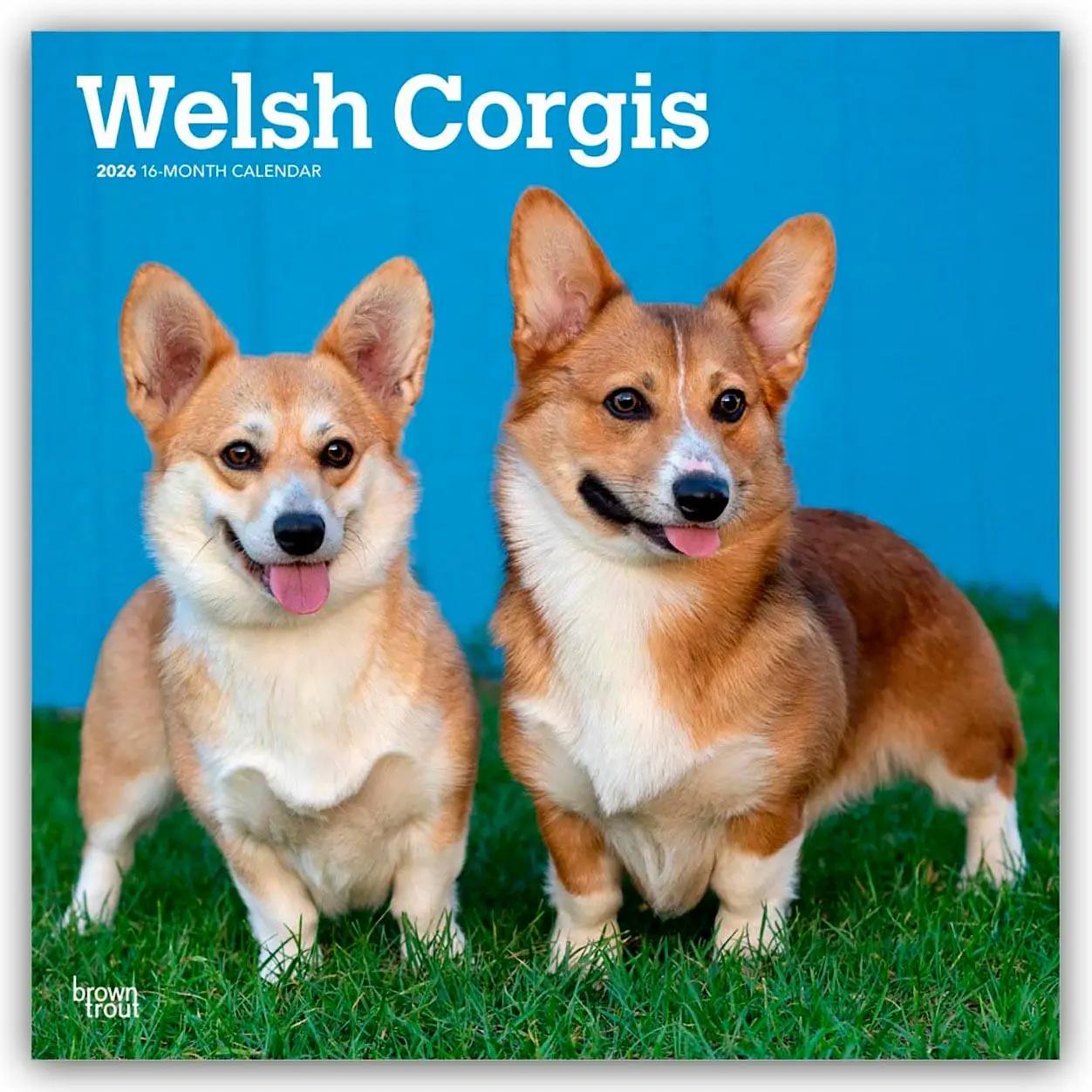 Cover: 9798330706235 | Welsh Corgis - Welsh Corgi 2026 - 16-Monatskalender | Publishers