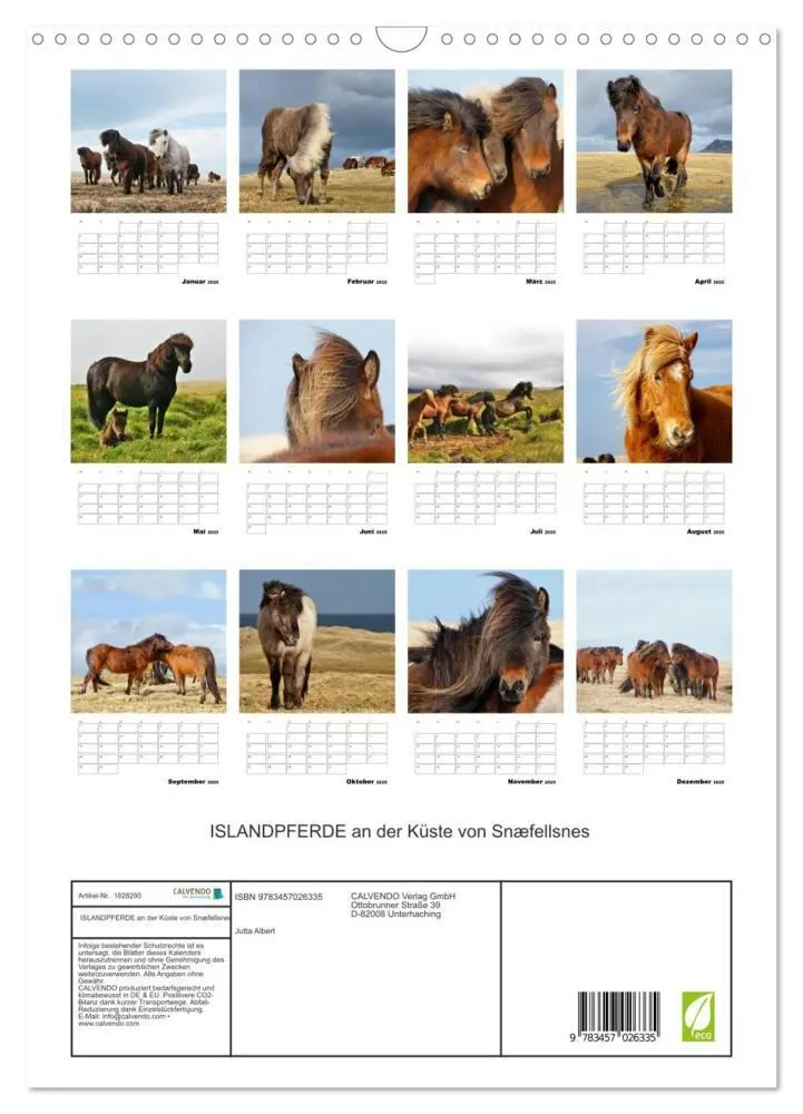 Bild: 9783457026335 | ISLANDPFERDE an der Küste von Snæfellsnes (Wandkalender 2025 DIN A3...