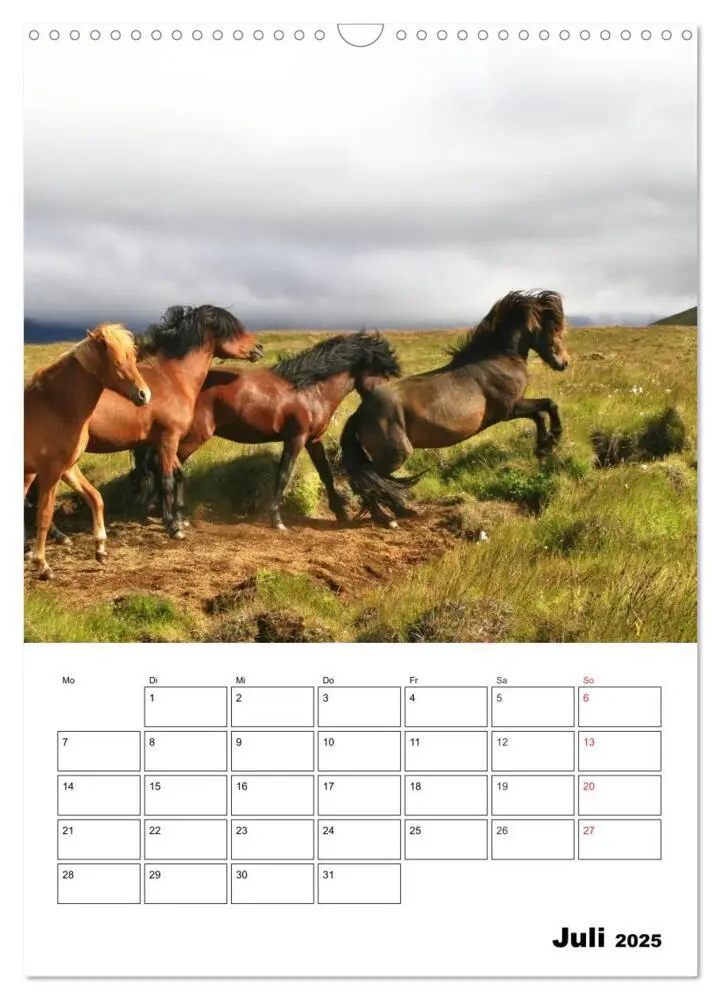 Bild: 9783457026335 | ISLANDPFERDE an der Küste von Snæfellsnes (Wandkalender 2025 DIN A3...