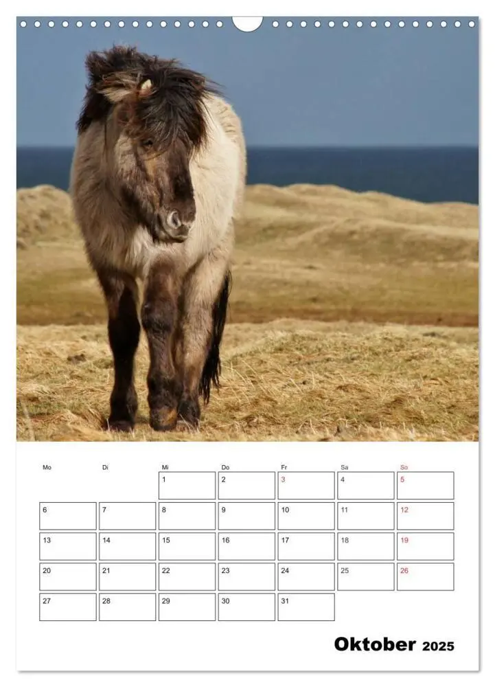 Bild: 9783457026335 | ISLANDPFERDE an der Küste von Snæfellsnes (Wandkalender 2025 DIN A3...