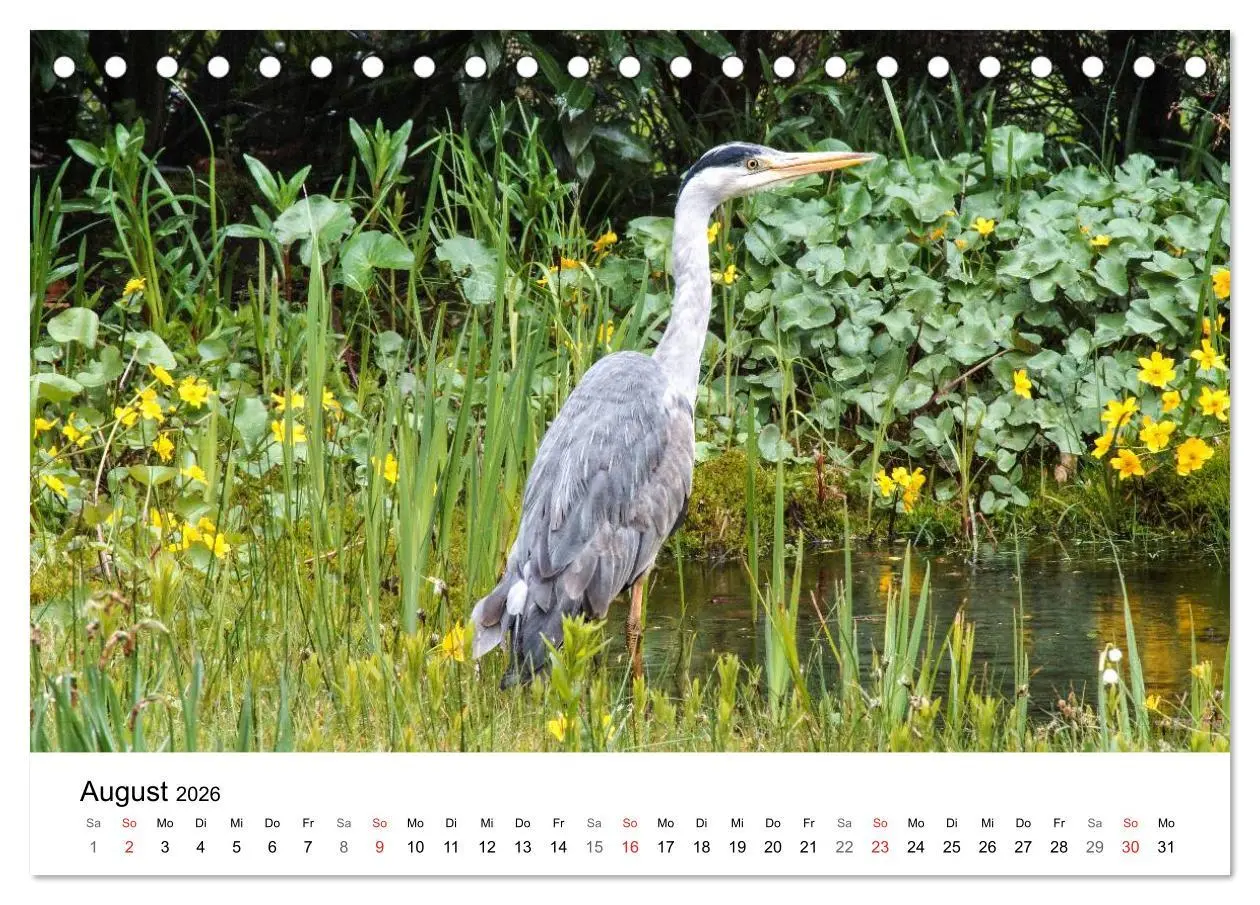 Bild: 9783457946435 | Paradies Naturgarten (Tischkalender 2026 DIN A5 quer), CALVENDO...