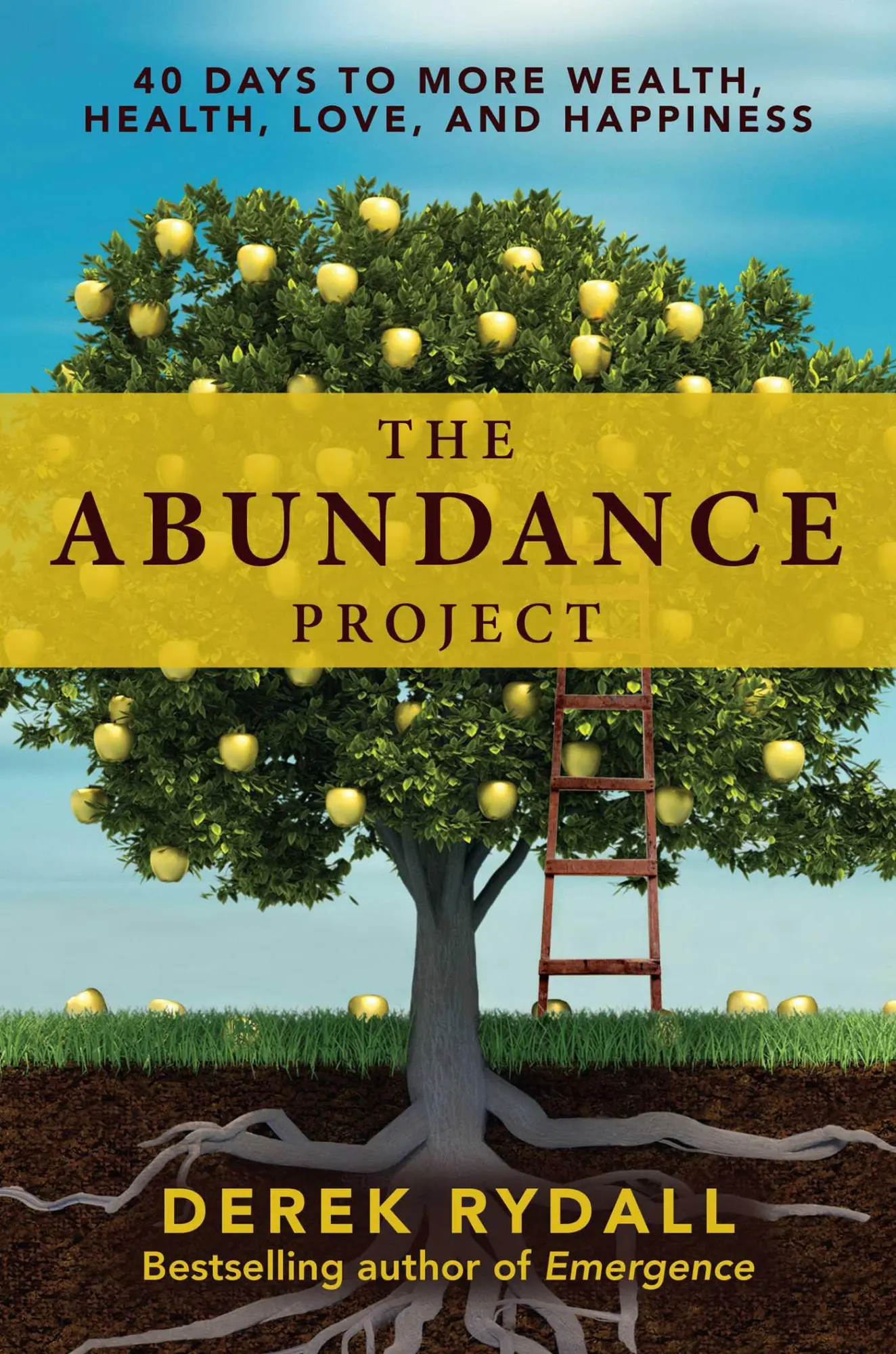 Cover: 9781582706535 | The Abundance Project | Derek Rydall | Taschenbuch | Englisch | 2022