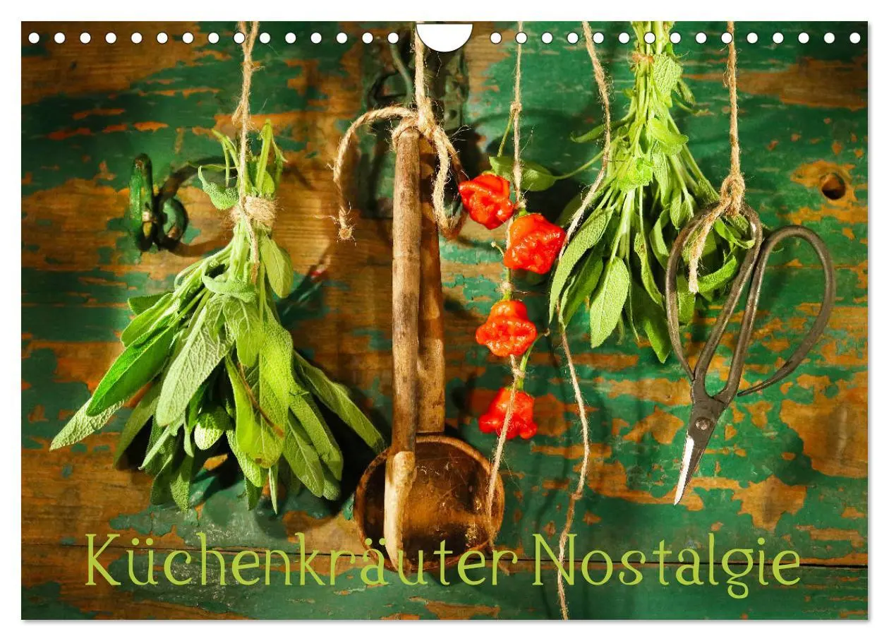 Cover: 9783457796535 | Küchenkräuter Nostalgie (Wandkalender 2026 DIN A4 quer), CALVENDO...