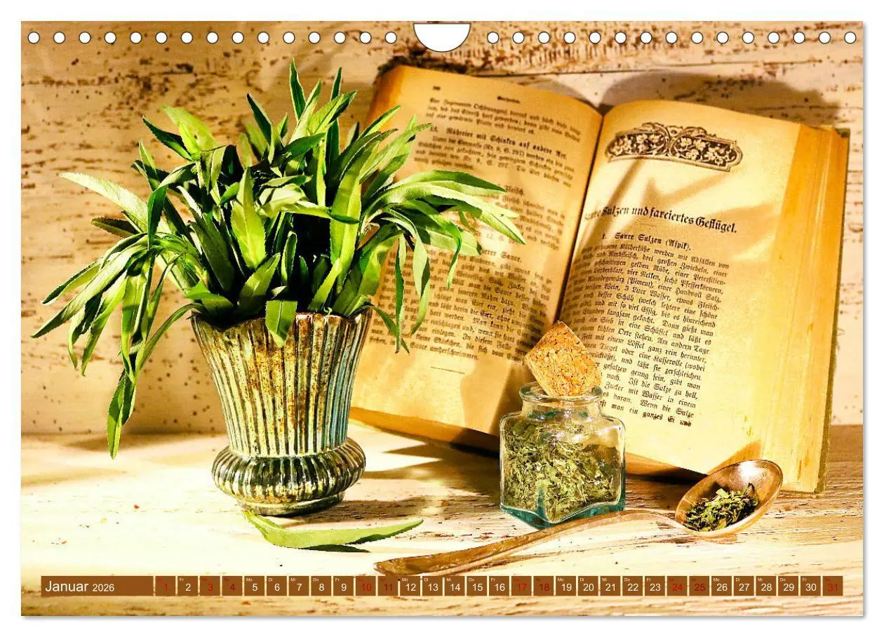 Bild: 9783457796535 | Küchenkräuter Nostalgie (Wandkalender 2026 DIN A4 quer), CALVENDO...