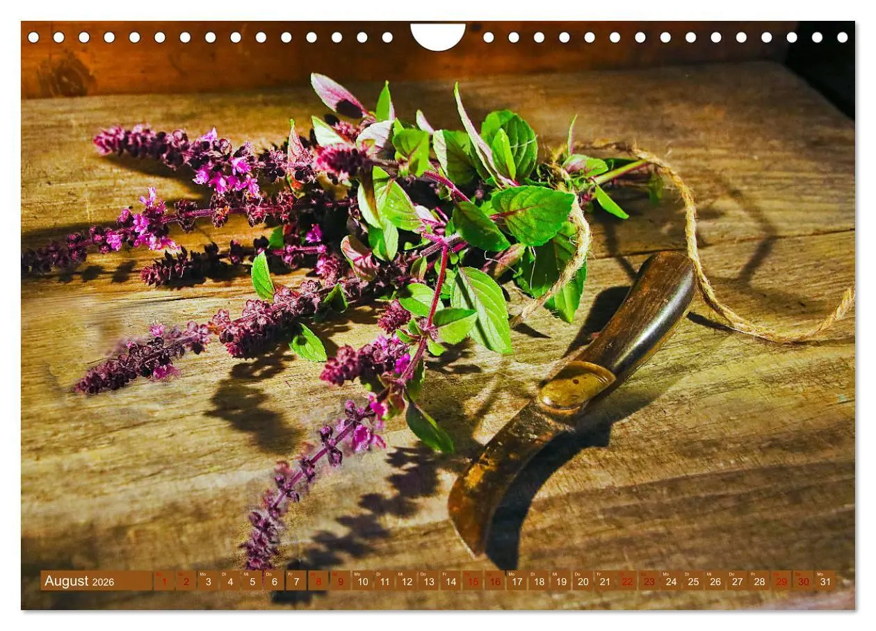 Bild: 9783457796535 | Küchenkräuter Nostalgie (Wandkalender 2026 DIN A4 quer), CALVENDO...