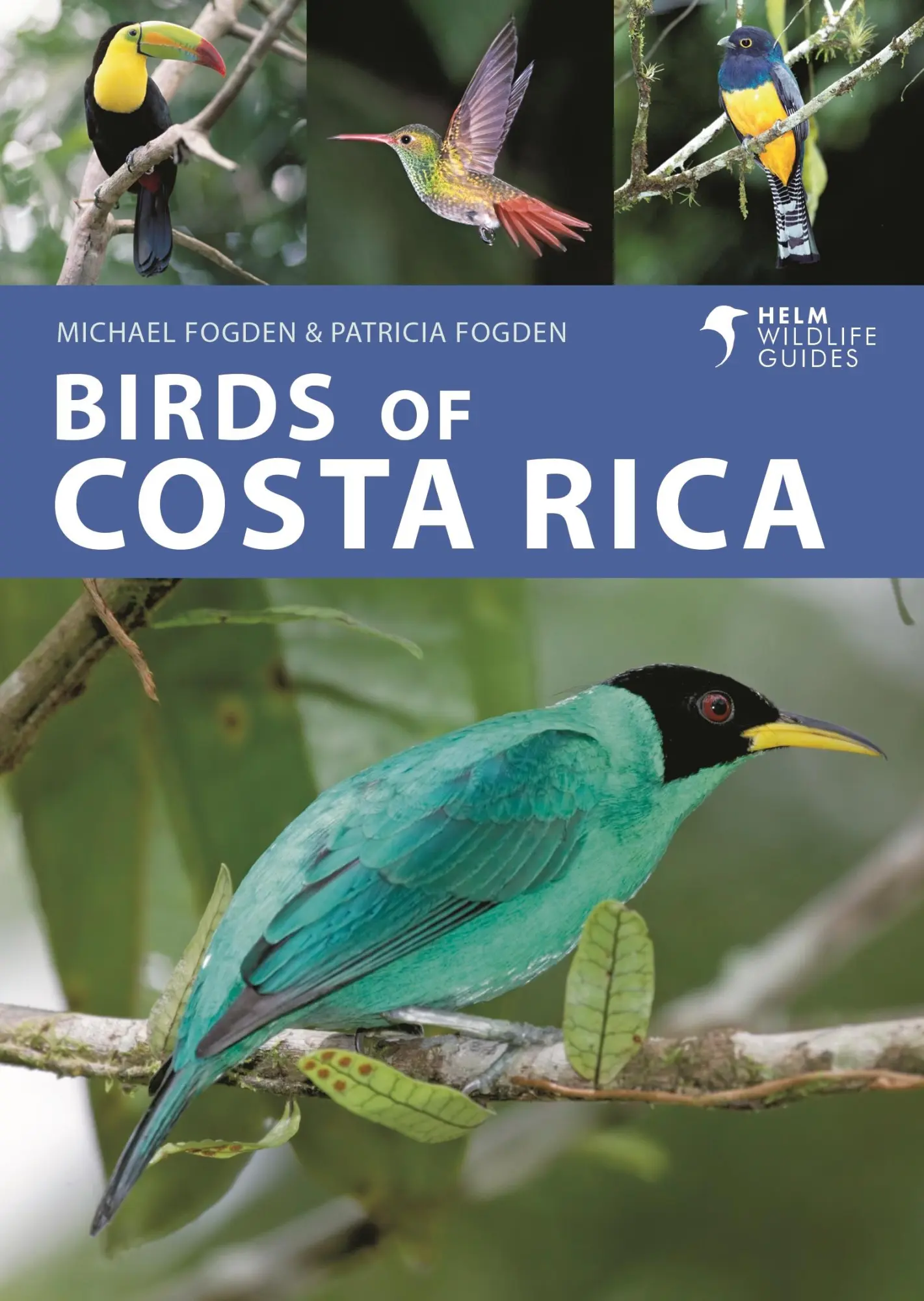 Cover: 9781399406635 | Birds of Costa Rica | Michael Fogden (u. a.) | Taschenbuch | Englisch