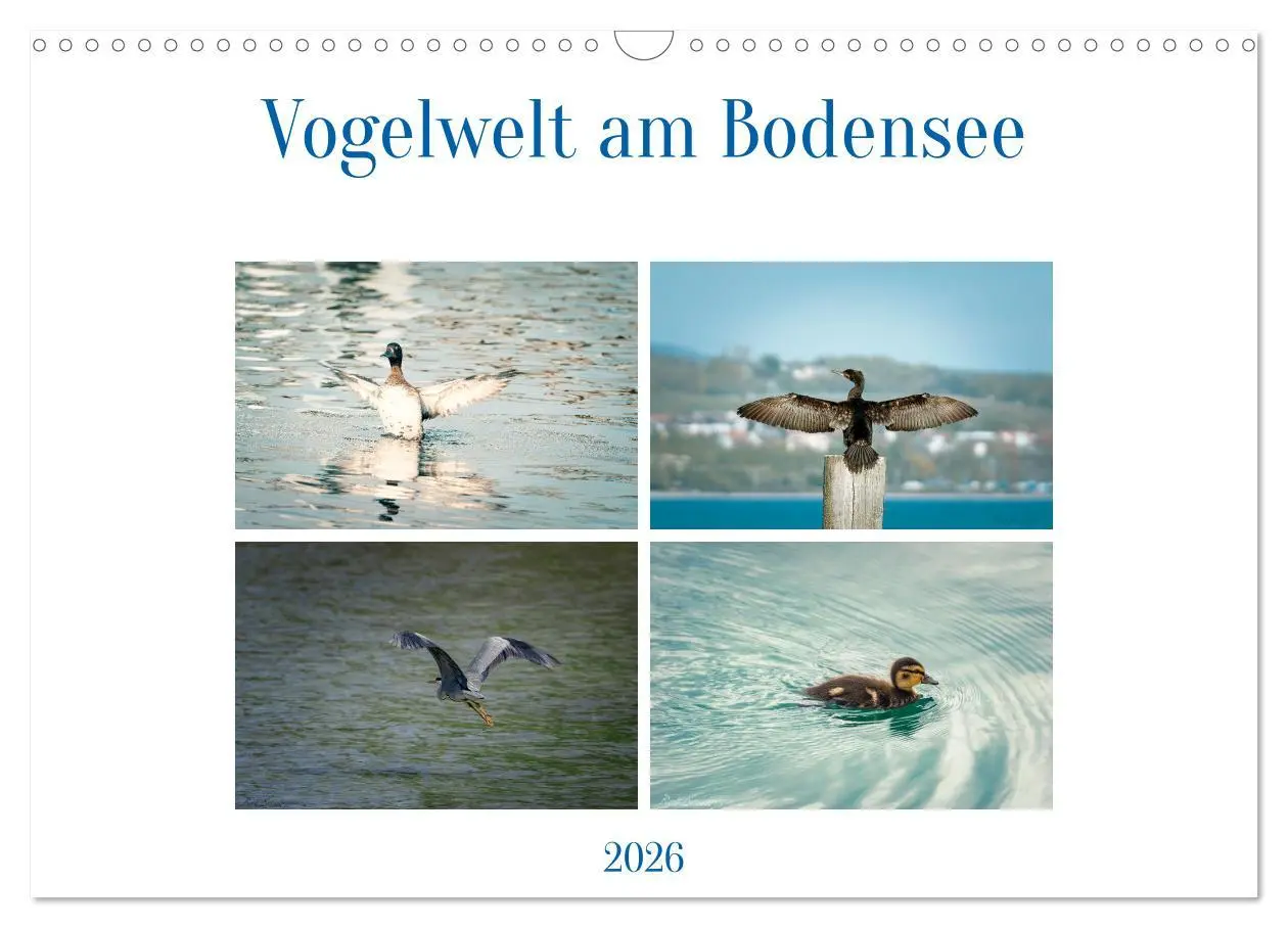 Cover: 9783457546635 | Vogelwelt am Bodensee 2026 (Wandkalender 2026 DIN A3 quer),...