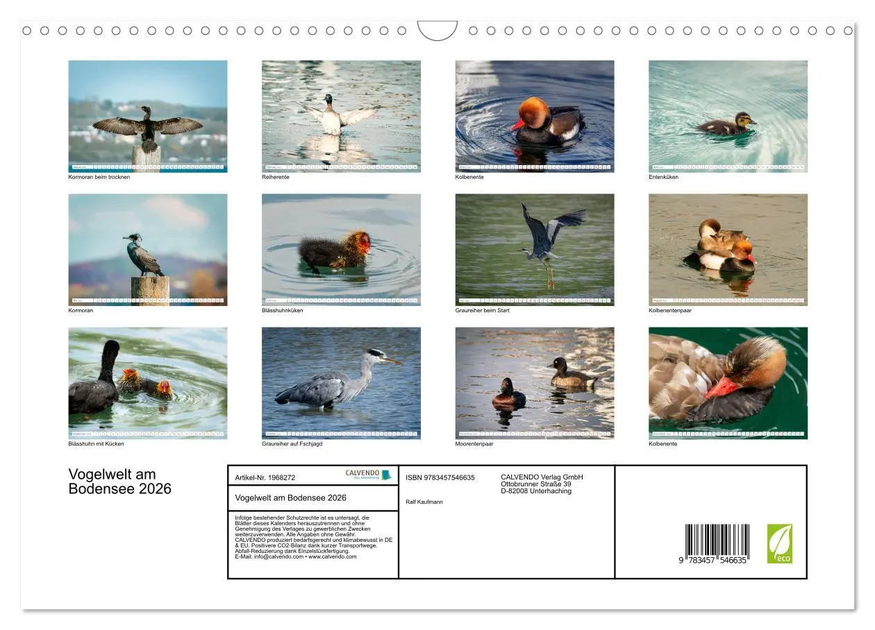Bild: 9783457546635 | Vogelwelt am Bodensee 2026 (Wandkalender 2026 DIN A3 quer),...