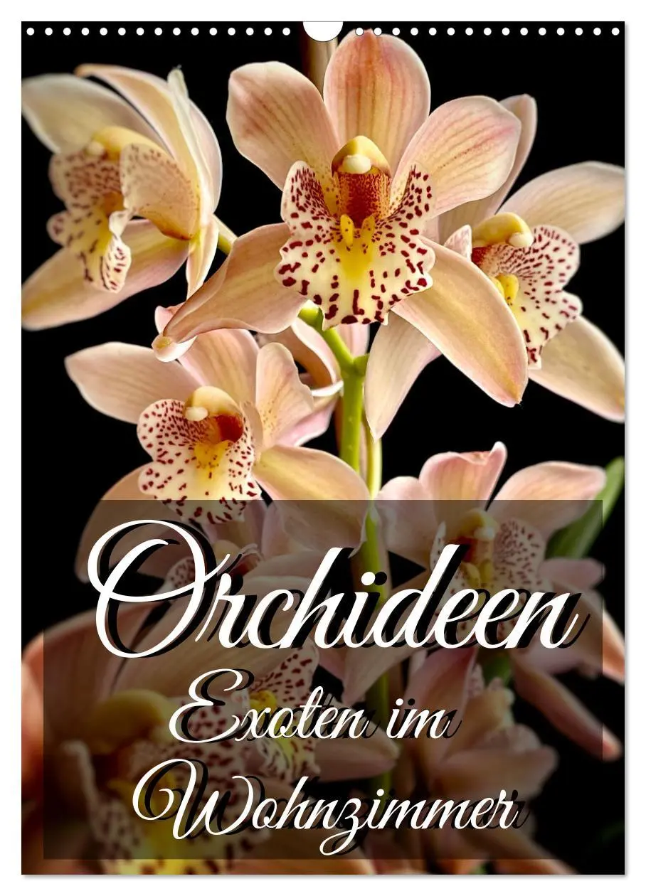 Cover: 9783516326635 | Orchideen - Exoten im Wohnzimmer (Wandkalender 2026 DIN A3 hoch),...