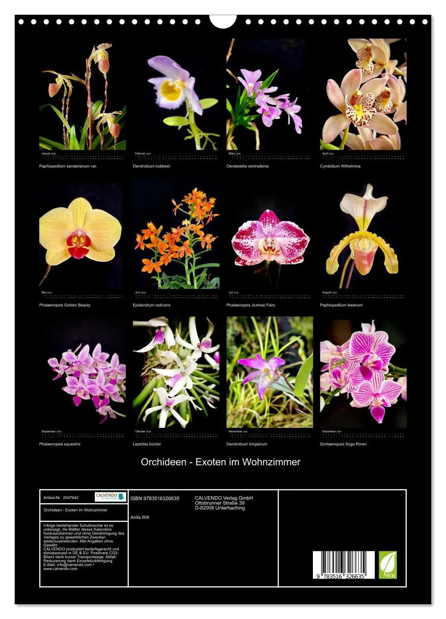Bild: 9783516326635 | Orchideen - Exoten im Wohnzimmer (Wandkalender 2026 DIN A3 hoch),...