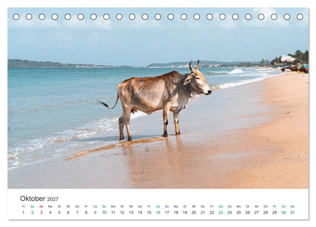 Bild: 9783569586635 | Traumziel Sri Lanka (Tischkalender 2027 DIN A5 quer), CALVENDO...
