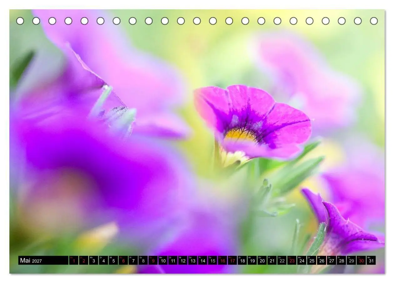 Bild: 9783594096635 | BLUMEN Zauber der Farben und Formen (Tischkalender 2027 DIN A5...
