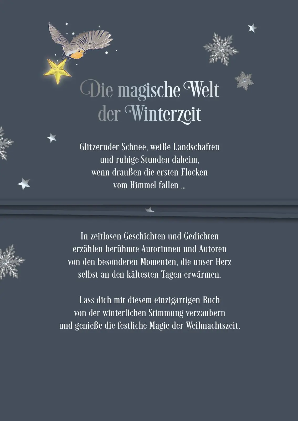 Rückseite: 9783845866635 | Die schönsten Geschichten aus dem Schnee | Anna Frohmann | Taschenbuch