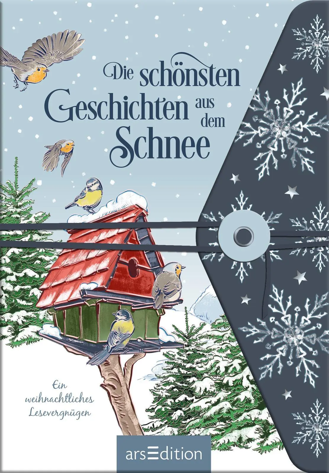 Bild: 9783845866635 | Die schönsten Geschichten aus dem Schnee | Anna Frohmann | Taschenbuch