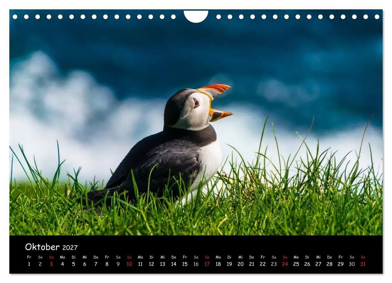 Bild: 9783569956735 | Die Papageientaucher von Mykines (Wandkalender 2027 DIN A4 quer),...