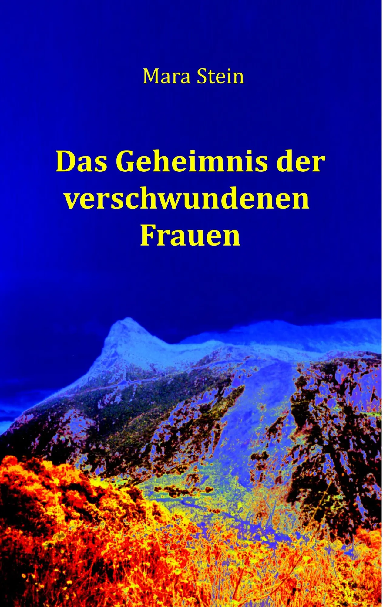 Cover: 9783743196735 | Das Geheimnis der verschwundenen Frauen | Mara Stein | Taschenbuch