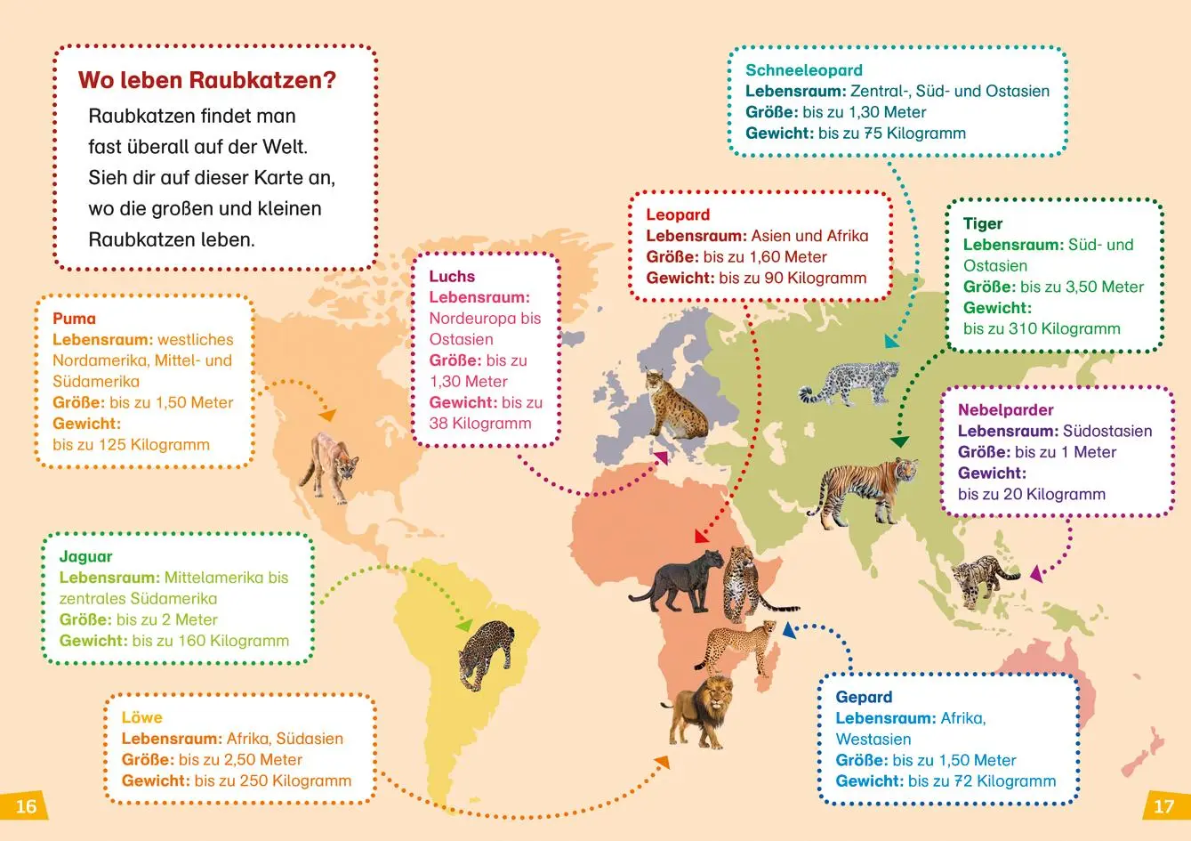Bild: 9783788676735 | WAS IST WAS Erstes Lesen Band 17. Raubkatzen | Christina Braun | Buch