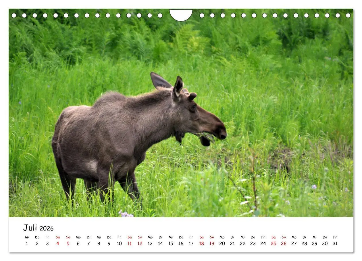 Bild: 9783457906835 | Unendlichkeit in Alaska und Yukon (Wandkalender 2026 DIN A4 quer),...