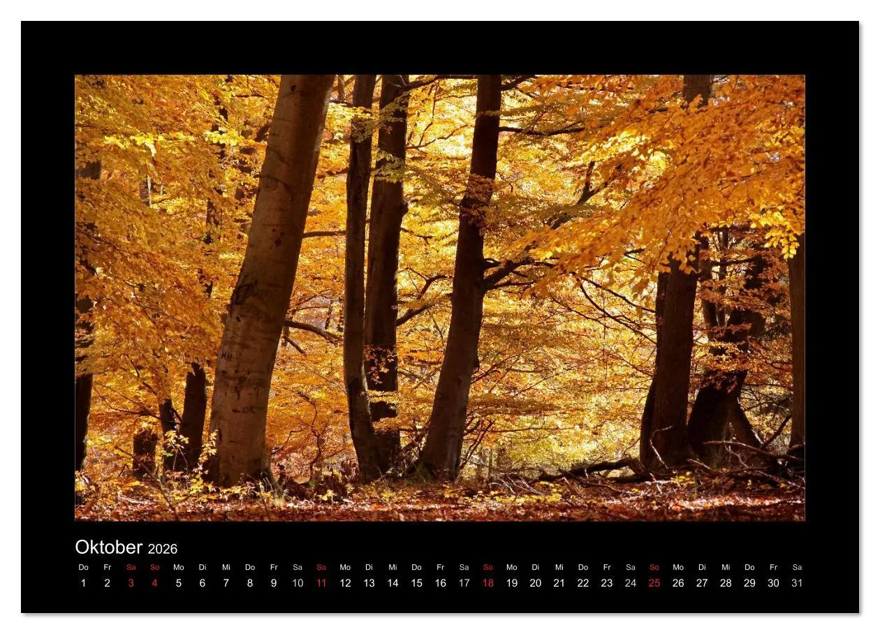 Bild: 9783516166835 | Taunus (Wandkalender 2026 DIN A2 quer), CALVENDO Monatskalender | 2026