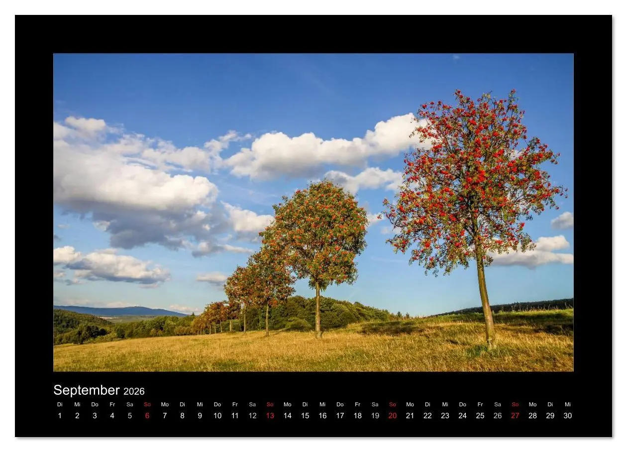 Bild: 9783516166835 | Taunus (Wandkalender 2026 DIN A2 quer), CALVENDO Monatskalender | 2026