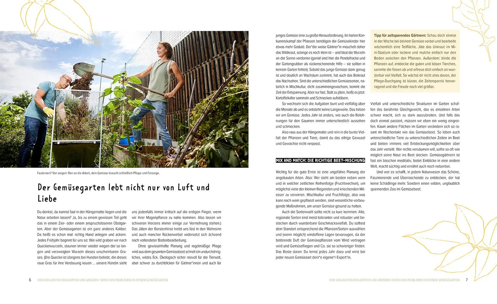 Bild: 9783706626835 | Wer knabbert da an meinem Gemüse? | Fiona Kiss (u. a.) | Buch | 192 S.