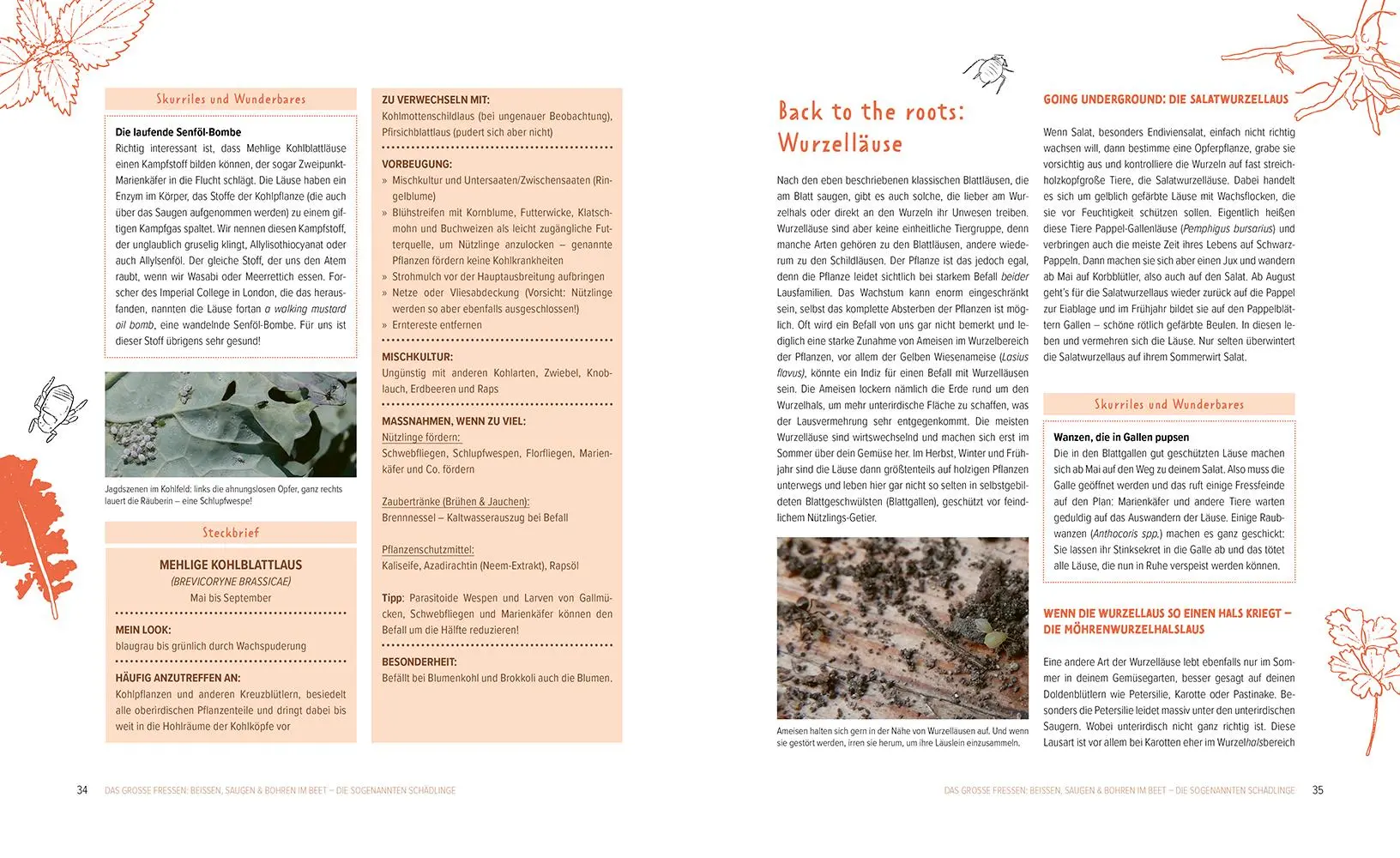 Bild: 9783706626835 | Wer knabbert da an meinem Gemüse? | Fiona Kiss (u. a.) | Buch | 192 S.