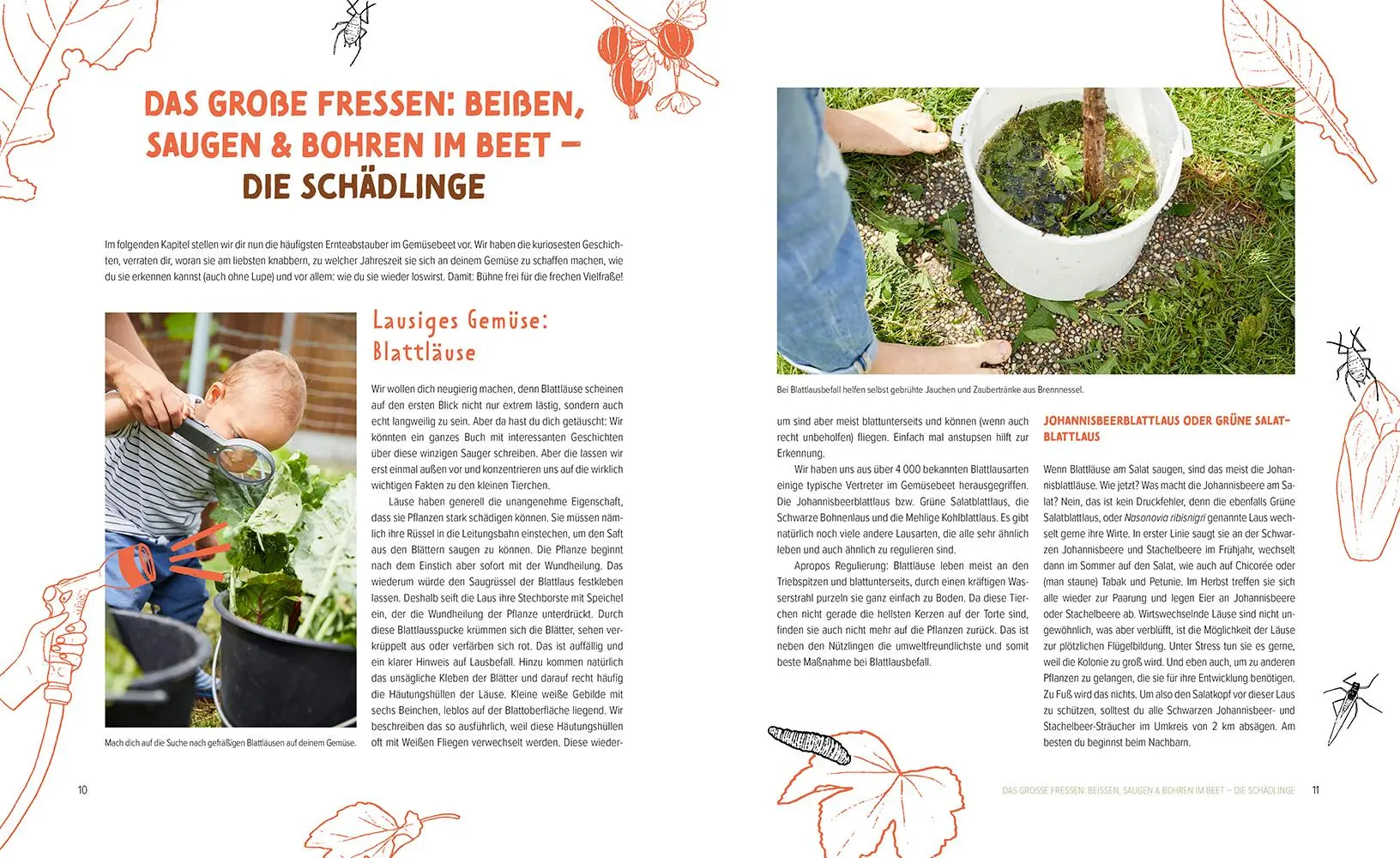 Bild: 9783706626835 | Wer knabbert da an meinem Gemüse? | Fiona Kiss (u. a.) | Buch | 192 S.