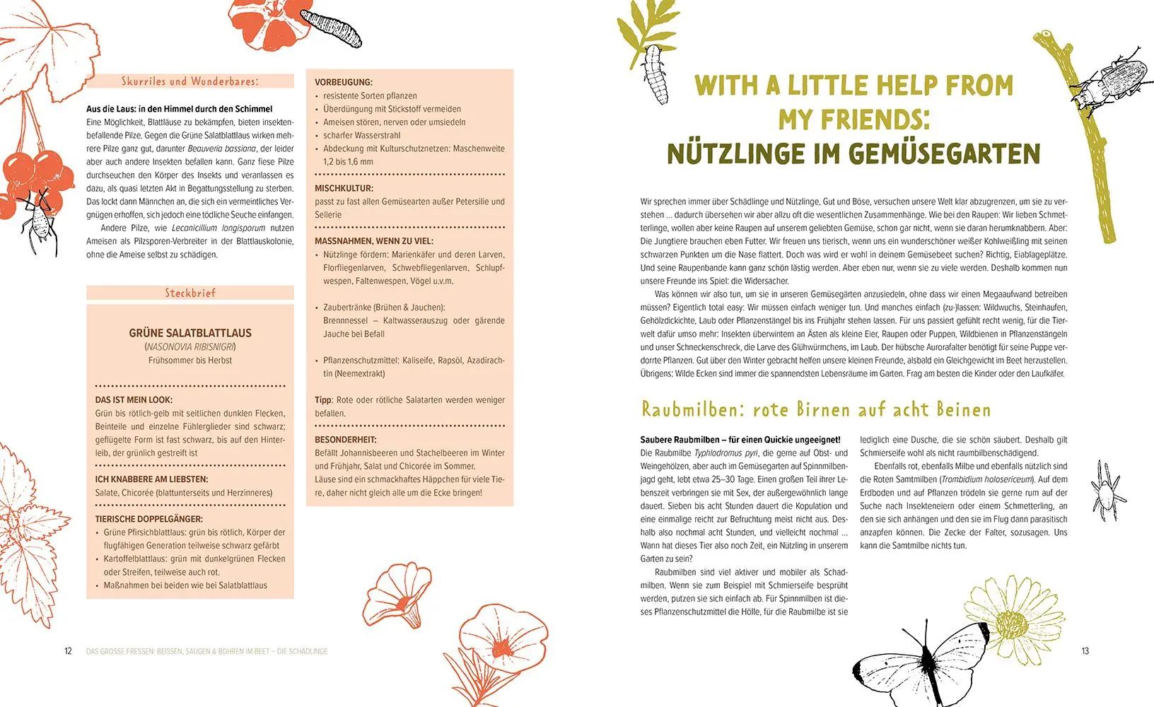 Bild: 9783706626835 | Wer knabbert da an meinem Gemüse? | Fiona Kiss (u. a.) | Buch | 192 S.