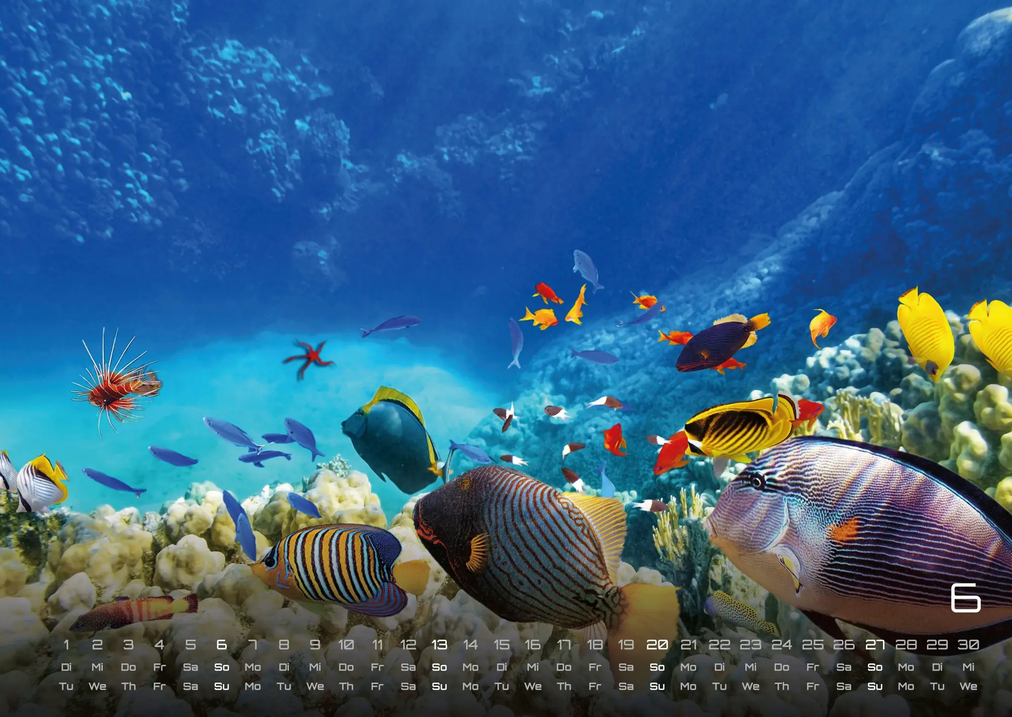 Bild: 9783986736835 | Sealife - verborgene Tiefen - 2027 - Kalender DIN A2 | GP-Fever. de