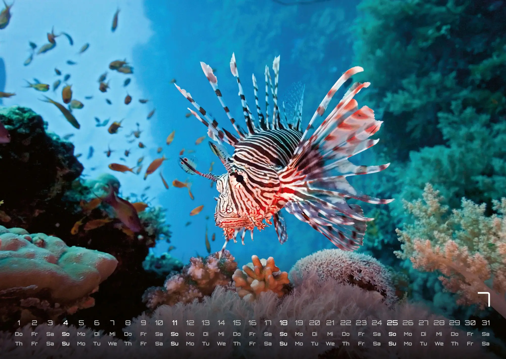 Bild: 9783986736835 | Sealife - verborgene Tiefen - 2027 - Kalender DIN A2 | GP-Fever. de