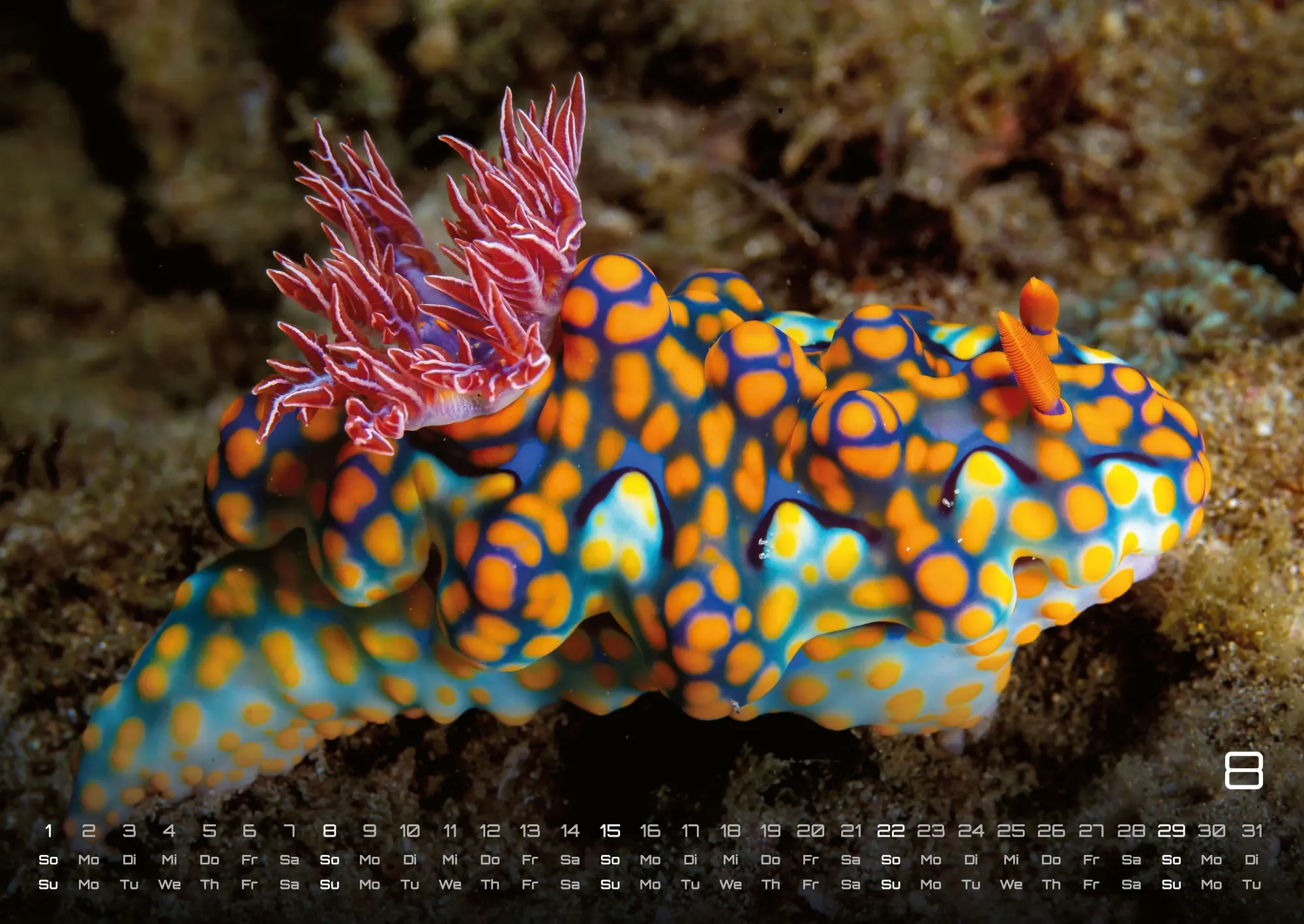Bild: 9783986736835 | Sealife - verborgene Tiefen - 2027 - Kalender DIN A2 | GP-Fever. de