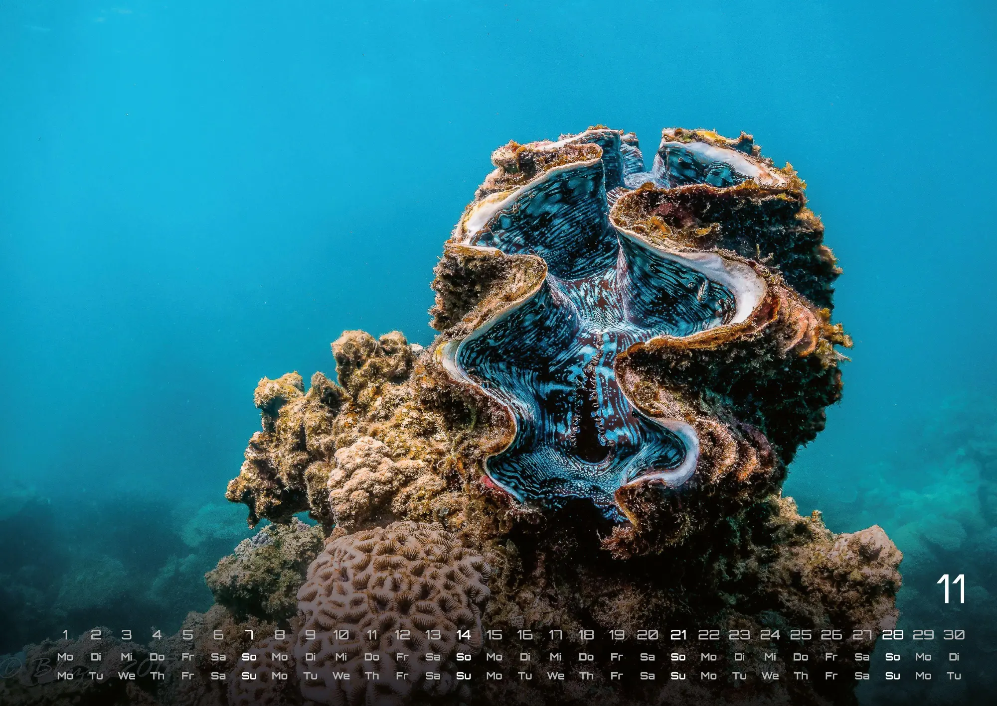 Bild: 9783986736835 | Sealife - verborgene Tiefen - 2027 - Kalender DIN A2 | GP-Fever. de