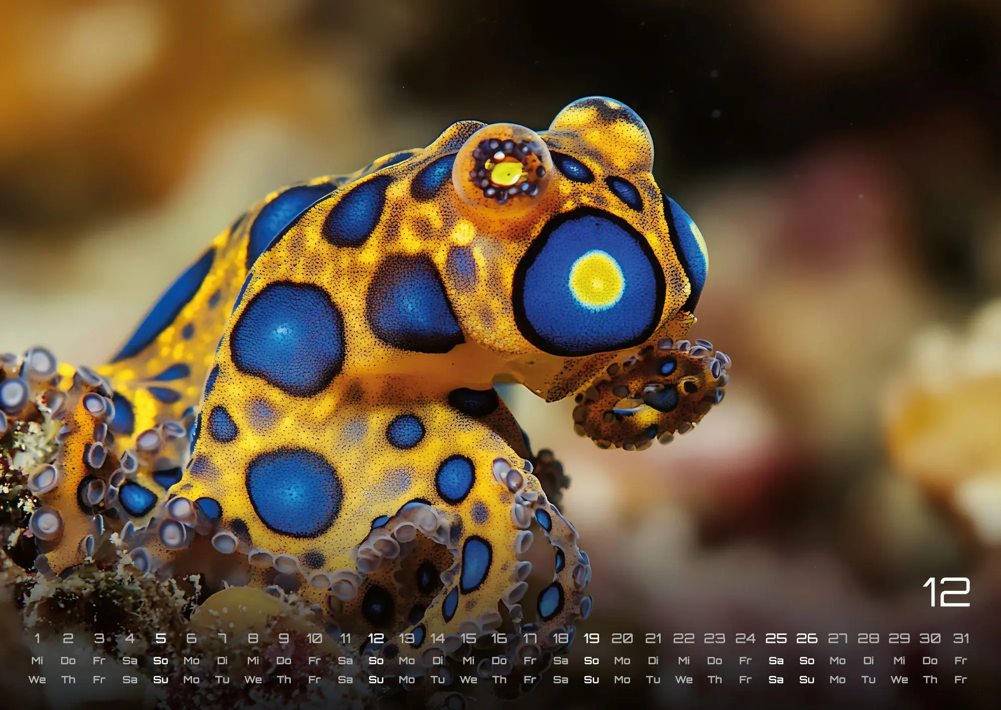 Bild: 9783986736835 | Sealife - verborgene Tiefen - 2027 - Kalender DIN A2 | GP-Fever. de