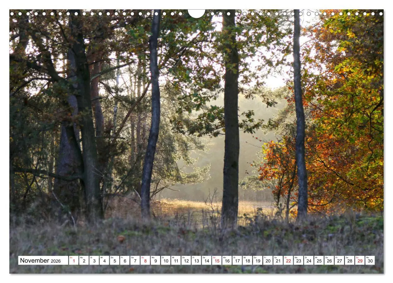Bild: 9783457497135 | Lingen Ems (Wandkalender 2026 DIN A3 quer), CALVENDO Monatskalender