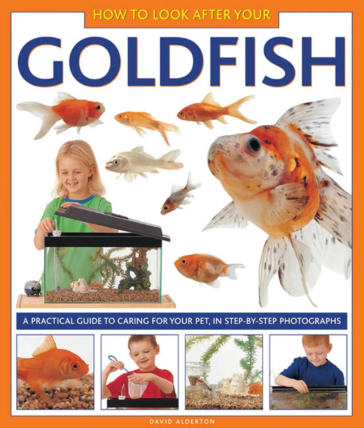 Cover: 9781843227335 | How to Look After Your Goldfish | Alderton David | Buch | Gebunden