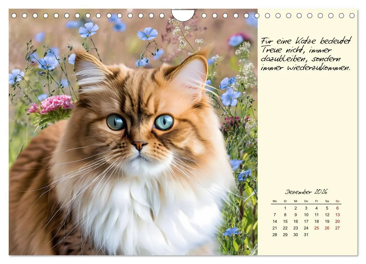 Bild: 9783457307335 | Katzen - Charakter und Schönheit (Wandkalender 2026 DIN A4 quer),...