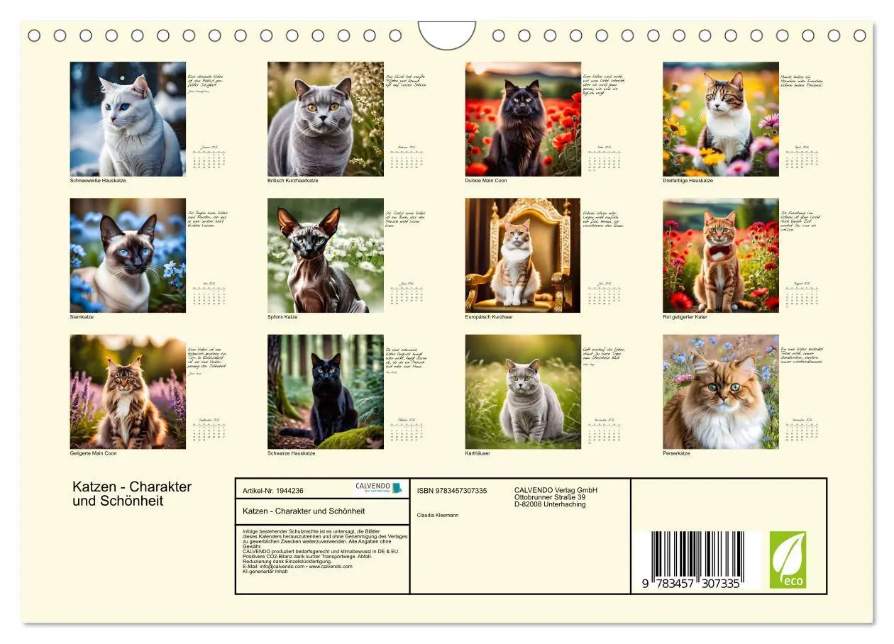 Bild: 9783457307335 | Katzen - Charakter und Schönheit (Wandkalender 2026 DIN A4 quer),...