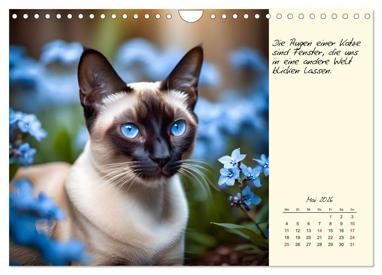 Bild: 9783457307335 | Katzen - Charakter und Schönheit (Wandkalender 2026 DIN A4 quer),...