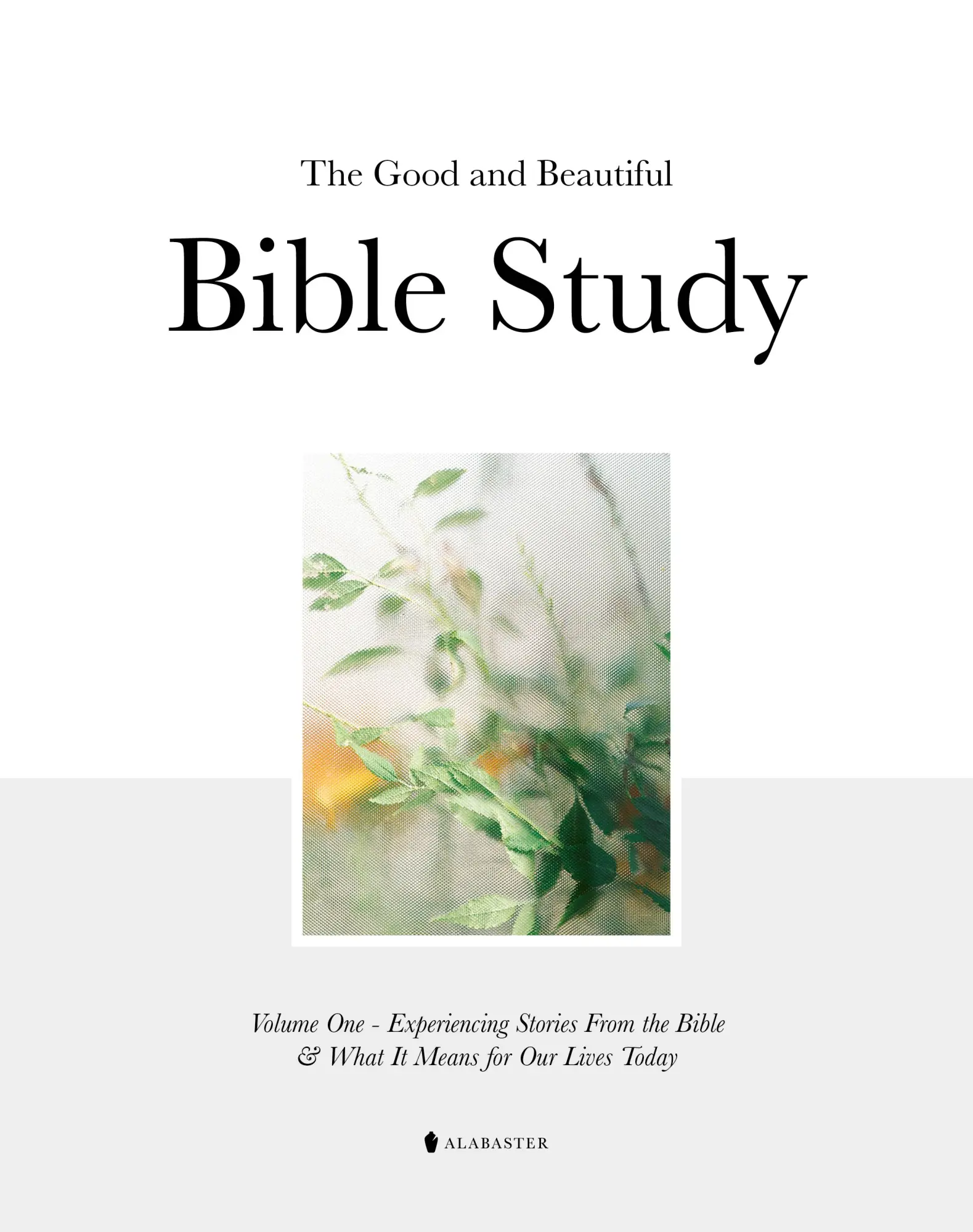 Cover: 9781952357435 | The Good and Beautiful Bible Study Vol 1 (Sc) | Alabaster Co | Buch