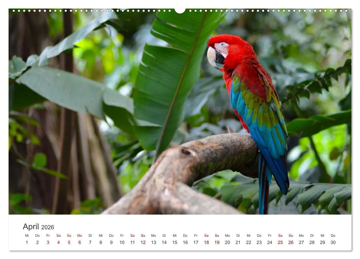 Bild: 9783457607435 | Kolumbien - Eine unvergessliche Reise durch das bunte Land....