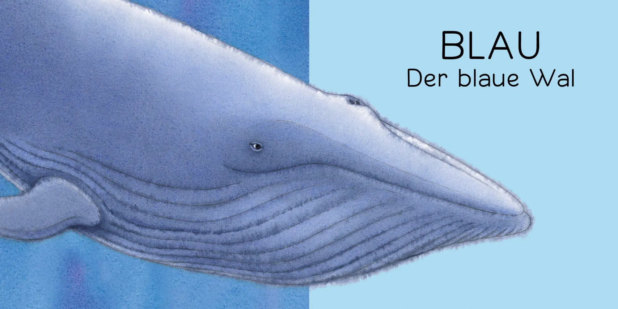 Bild: 9783314107535 | Der Regenbogenfisch Farben | Marcus Pfister | Buch | 24 S. | Deutsch