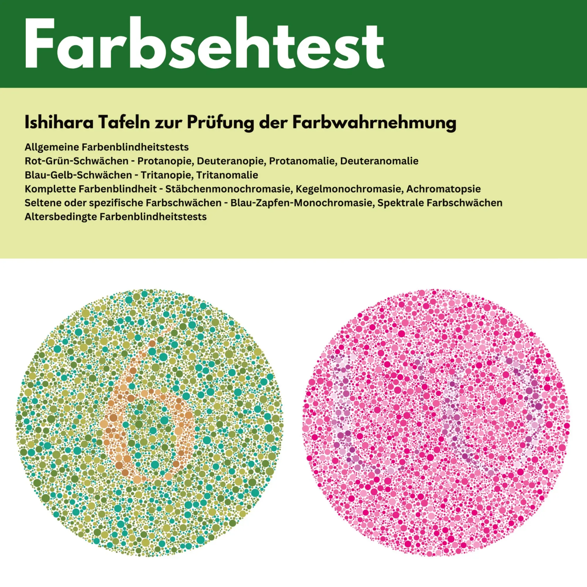 Cover: 9783384717535 | Farbsehtest | Satoshi Ishida | Taschenbuch | 124 S. | Deutsch | 2025