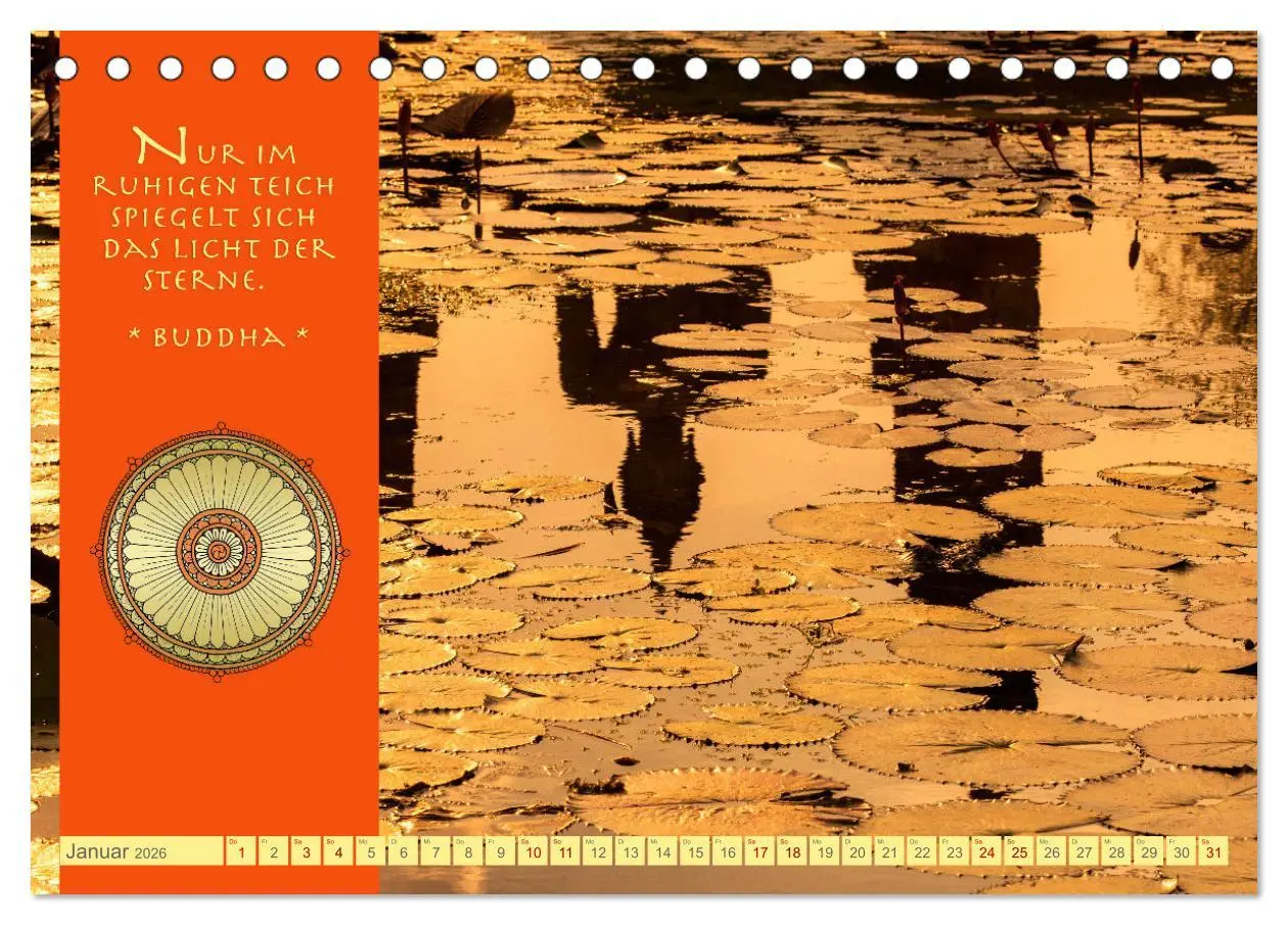 Bild: 9783457527535 | Buddhas Zitate Wege zur Erleuchtung (Tischkalender 2026 DIN A5...