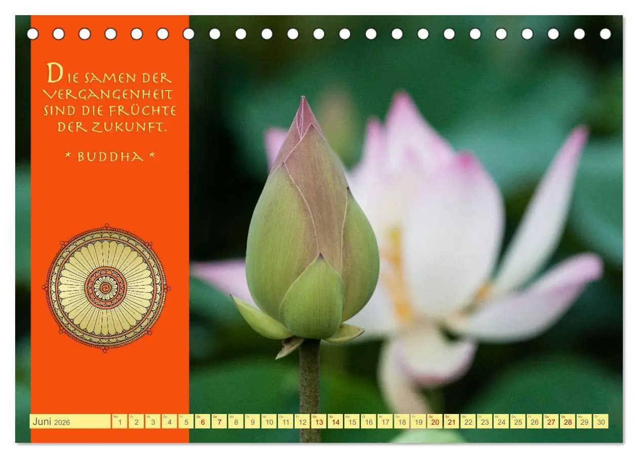 Bild: 9783457527535 | Buddhas Zitate Wege zur Erleuchtung (Tischkalender 2026 DIN A5...