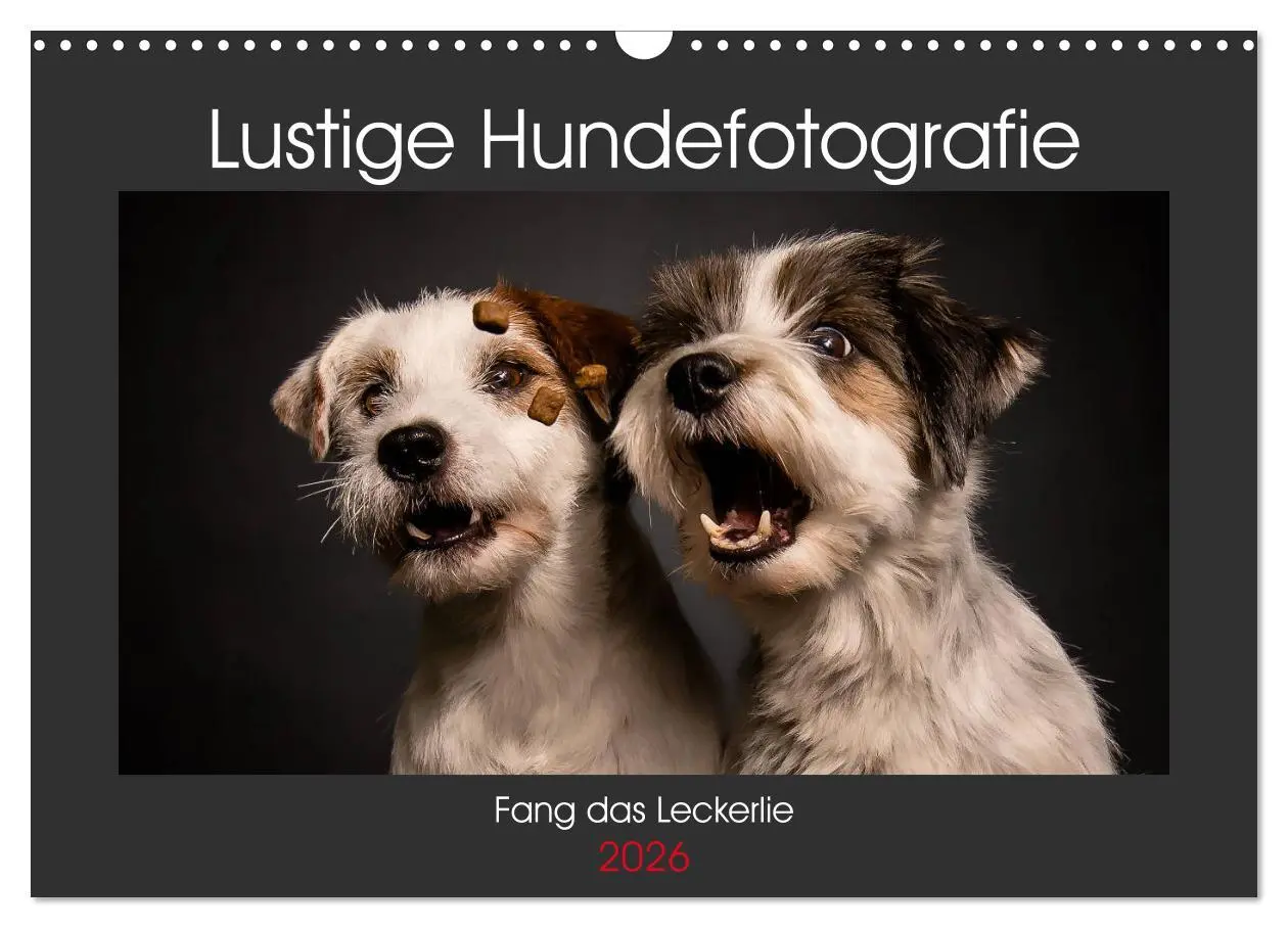 Cover: 9783457837535 | Fang das Leckerlie (Wandkalender 2026 DIN A3 quer), CALVENDO...