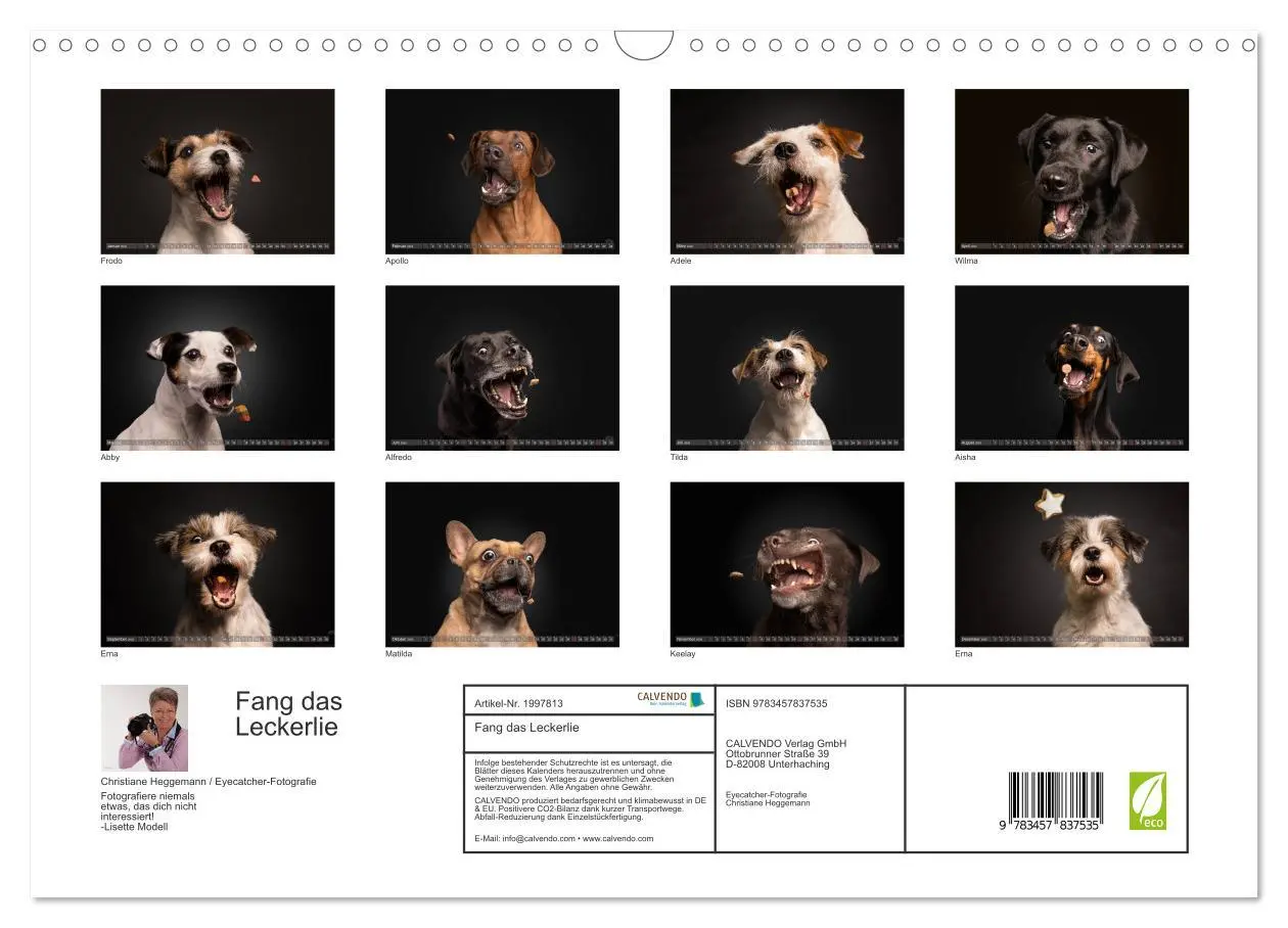 Bild: 9783457837535 | Fang das Leckerlie (Wandkalender 2026 DIN A3 quer), CALVENDO...