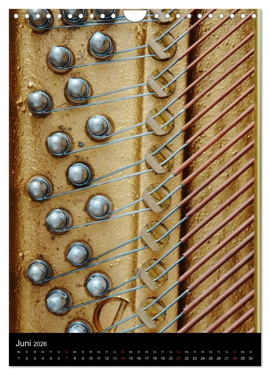 Bild: 9783516477535 | Musik (Wandkalender 2026 DIN A4 hoch), CALVENDO Monatskalender | Jäger