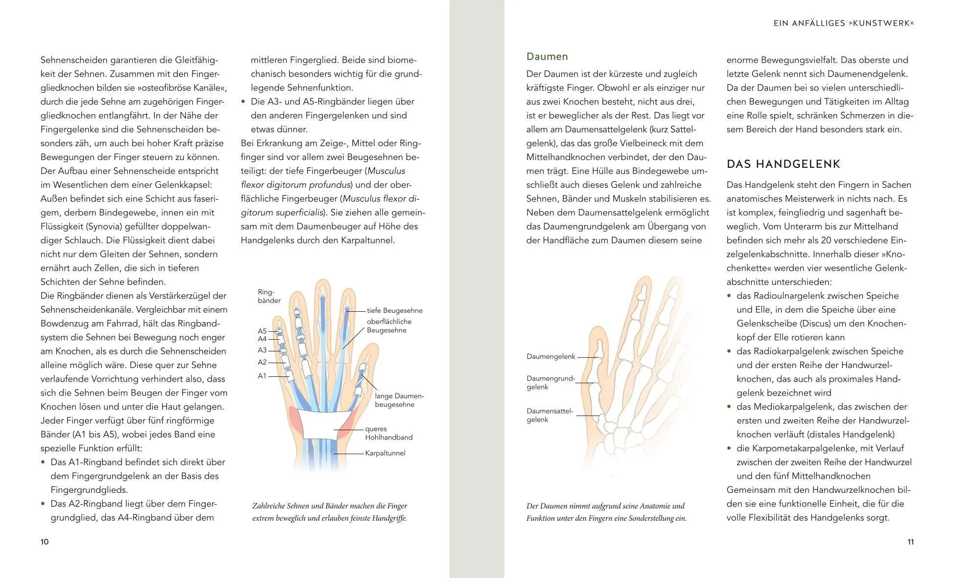 Bild: 9783833897535 | Hand &amp; Ellenbogen Schmerzen selbst behandeln | Petra Bracht (u. a.)